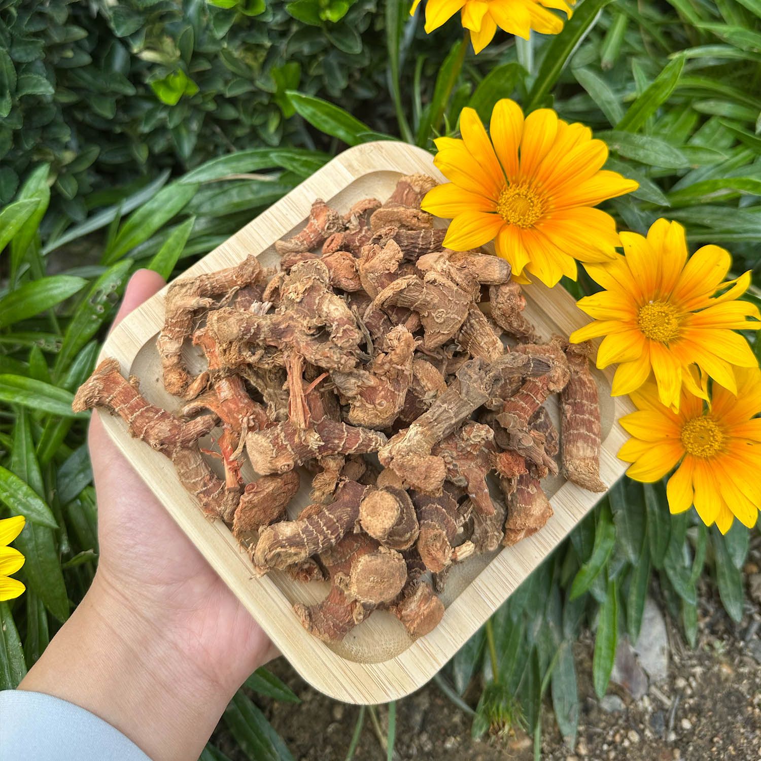 Yeni Mahsul Havlıcan - 1