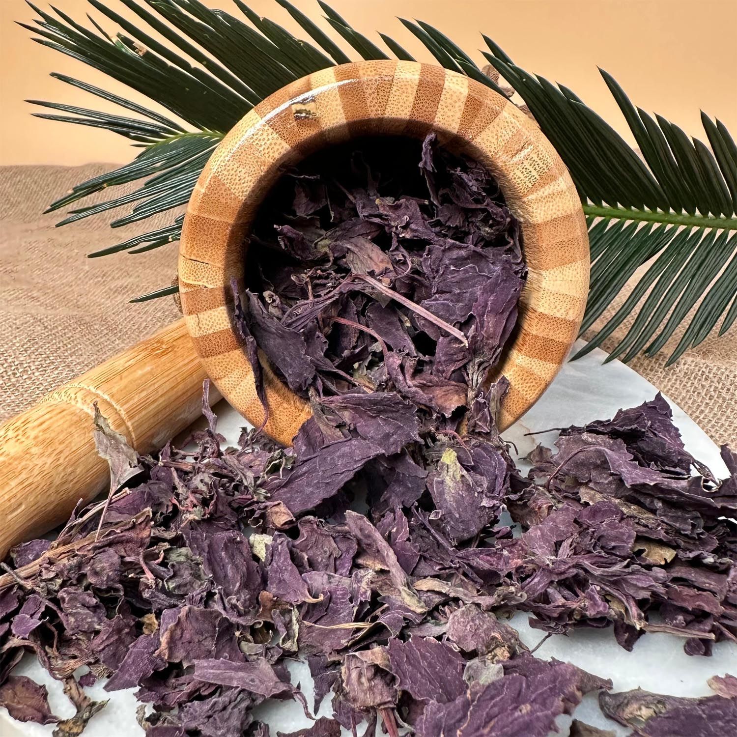 Yoğun Aromalı Mor Reyhan - 1